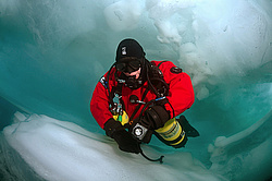 ������, ��������� ������������