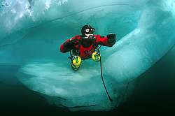 ������, ��������� ������������