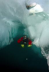 ������, ��������� ������������