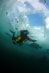 ������, ��������� ������������