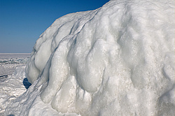 ������, ����� ���� �� ���������