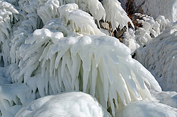 ������, ����� ���� �� ���������