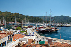 ������ - ��������