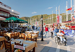 ������ - ��������