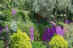 ������ - ��������