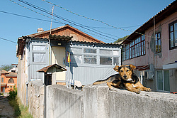 �������������� �������� �����-��������� ���������