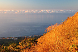 ���� ��-�����, ����, �������. ������ ������