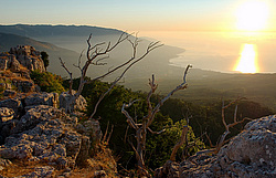 ���� ��-�����, ����, �������. ������ ������