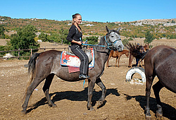 ���� ��-�����, ����, �������. ������ ������