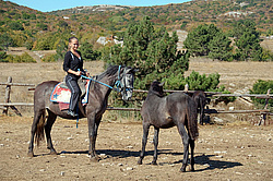 ���� ��-�����, ����, �������. ������ ������