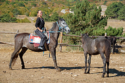 ���� ��-�����, ����, �������. ������ ������