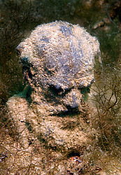 ���� ��� ���������� �������. ��������� ����� - ���� ������. ����, ��� ���������