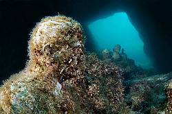 ����� ������������� ������ (����������) ��������� ����� - ���� ������. ����, ��� ���������