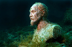 ������ ���������� �����������. ��������� ����� - ���� ������. ����, ��� ���������