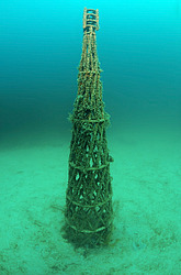 ����������� ���������. ��������� ����� - ���� ������. ����, ��� ���������