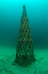 ����������� ���������. ��������� ����� - ���� ������. ����, ��� ���������