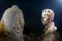 ��������� ����� - ���� ������. ����, ��� ���������