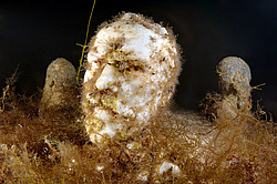 ���� �������-2. ��������� ����� - ���� ������. ����, ��� ���������