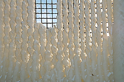 ������, ����������� �� ������ ����