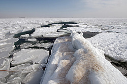 ������, ����������� �� ������ ����