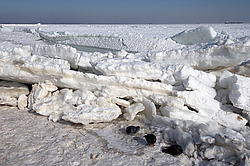 ������, ����������� �� ������ ����