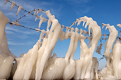 ������, ����������� �� ������ ����