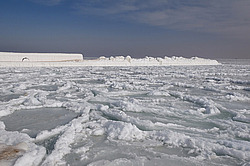 ������, ����������� �� ������ ����