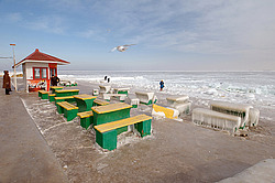 ������, ����������� �� ������ ����