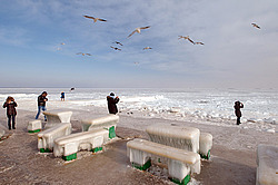 ������, ����������� �� ������ ����