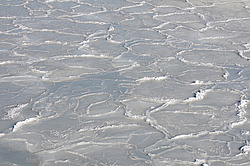 ������, ����������� �� ������ ����