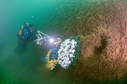 ���������� ��������� ��� ���������� ������  � ������ ���� �� ����� ��������  ���������� ����������,  ������������  1 ������� 1942 ����