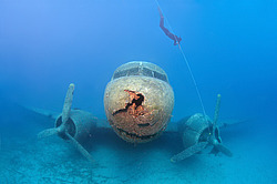 ���������� �  ����������� ����. ������, ���.