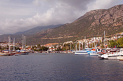 ������, ��� 