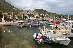 ������, ��� 