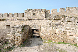 ��������, ��������-������������, �������