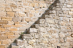 ��������, ��������-������������, �������