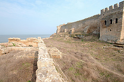 �������� ����, ��������, ��������-������������, �������