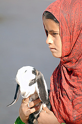 ������� ���������� �������, ������, ������