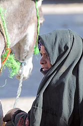 ������� �������� � �������, ������, ������