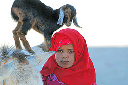 ������� ���������� �������, ������, ������