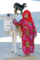 ������� ���������� �������, ������, ������