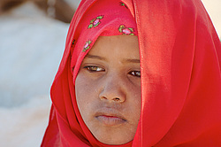 ������� ���������� �������, ������, ������