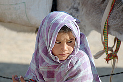 ������� ���������� �������, ������, ������