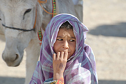 ������� ���������� �������, ������, ������