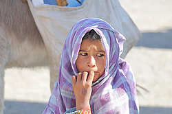 ������� ���������� �������, ������, ������