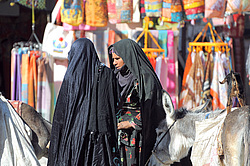 ��� �������� �� ������, ������, ������, ������