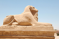 ���������� �������� ��������, ������ (����), ������, ������