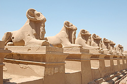 ���������� �������� ��������, ������ (����), ������, ������