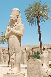 ������ ������� II � ��� ������� ���������, ���������� �������� ��������, ������ (����), ������, ������