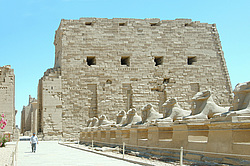 ���������� �������� ��������, ������ (����), ������, ������